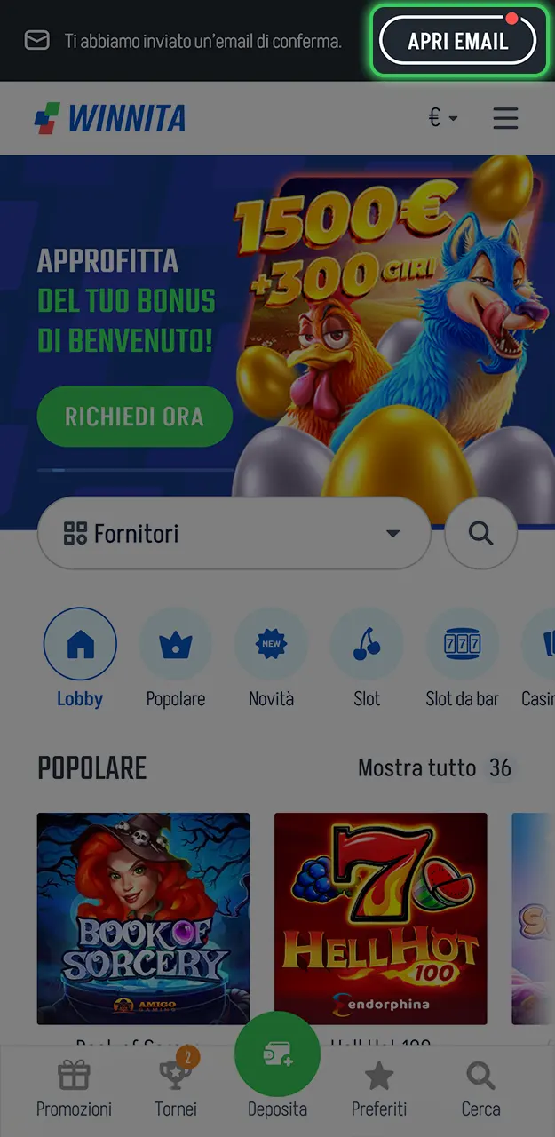 Conferma il tuo profilo via e-mail per giocare ad Aviator su Winnita.
