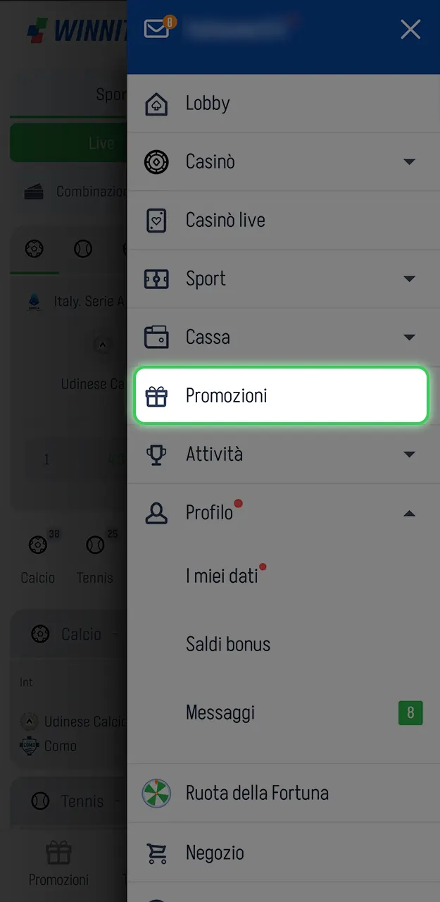 Riscatta l'offerta per i nuovi iscritti per giocare alle slot su Winnita.